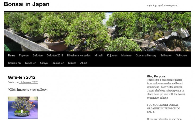 Blog Bonsai in Japan