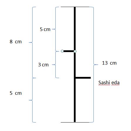 Proporcje w bonsai – złoty podział