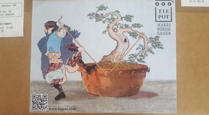 Tiepot – nowy typ doniczki treningowej do bonsai